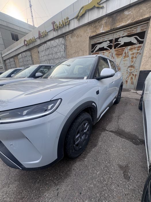 Byd yuan up 4 poz dop opsiya