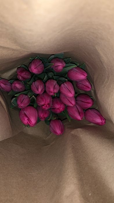 Тюльпаны оптом от производителя