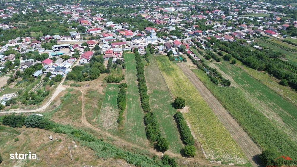 Teren  4.699mp sat Milcov de vanzare la sosea
