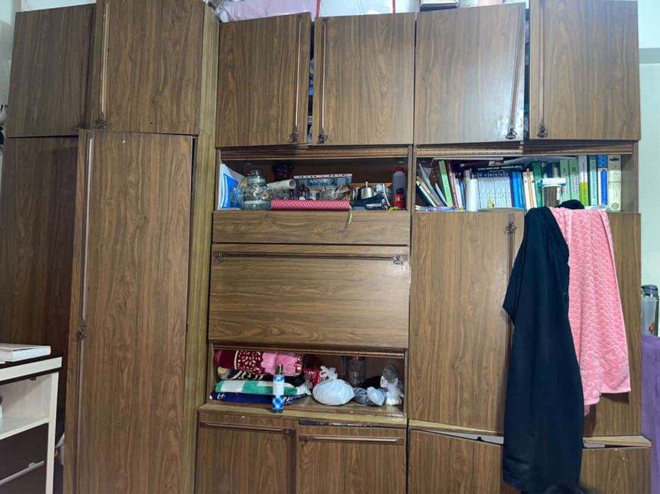 Стенка Беларуссия бакувват