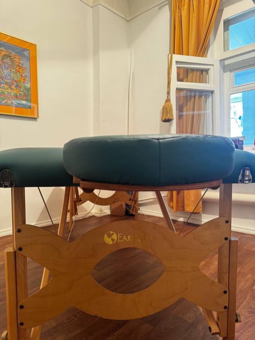 Профессиональный складной массажный стол Earthlife