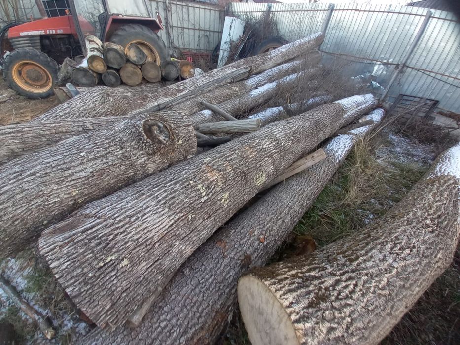 Vand lemne de foc!!!