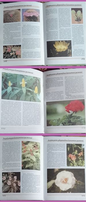 Энциклопедии продаю