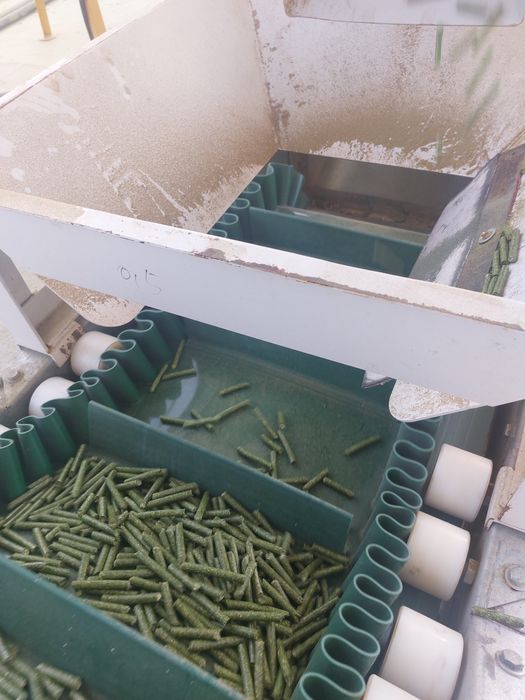 Гранулы из люцерны. Жонышкадан гранула.