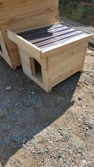 Бутка  дла  сабака