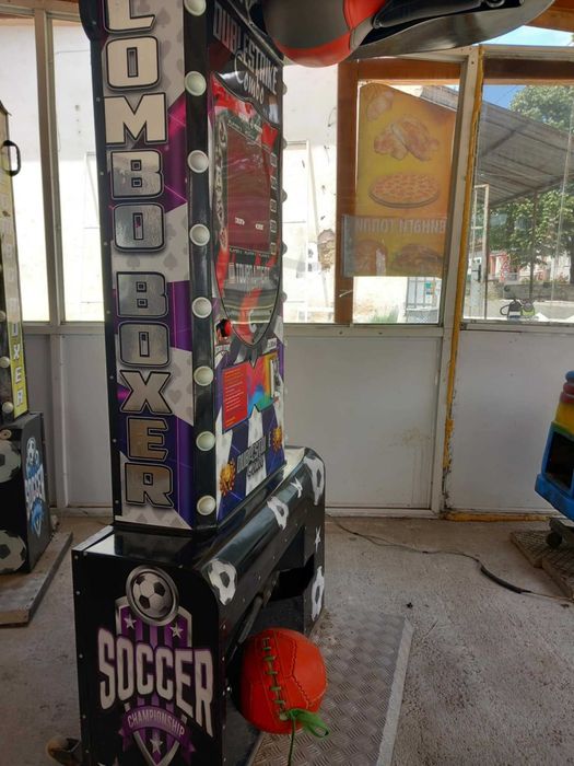 Боксова круша с монетник ПРОМОЦИЯТА!