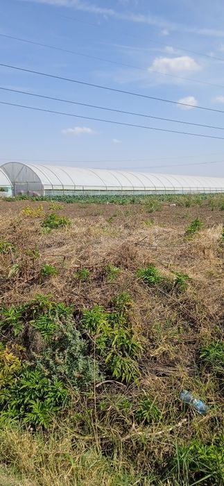 Solarii sere legume cu montaj