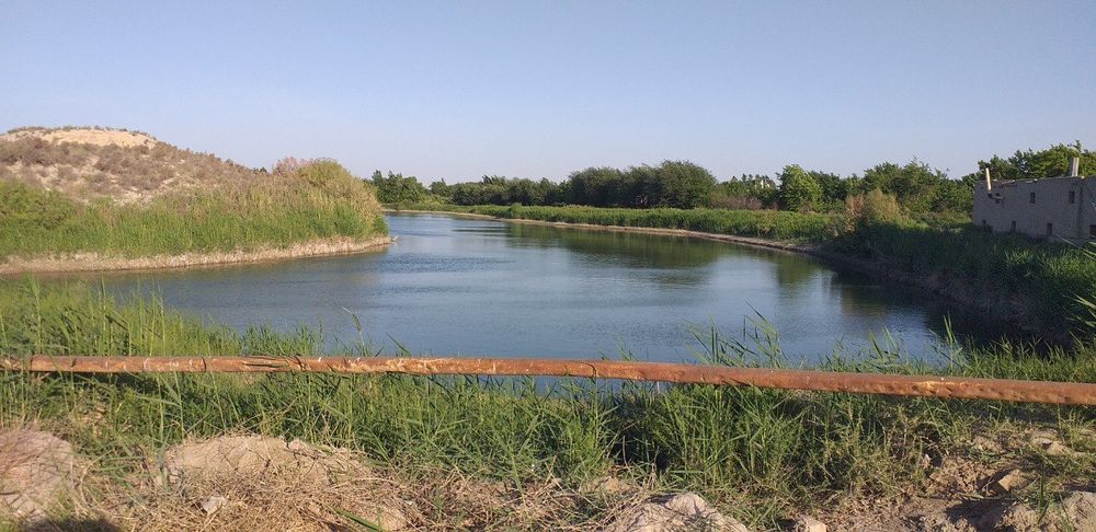 Баликхона + товукхона 4.5 гектарга  эга ер майдони сотилади