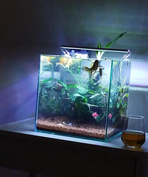 Специализирани аквариумни лампи и корени от азалия