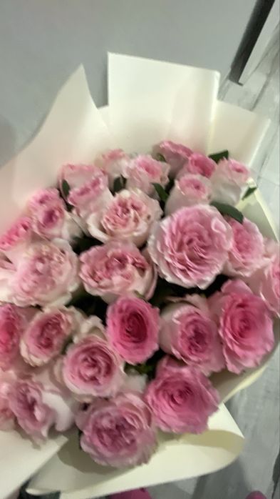 Продам цветы розы 31 шт