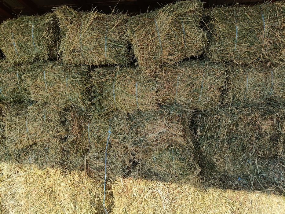 Baloți de lucernă