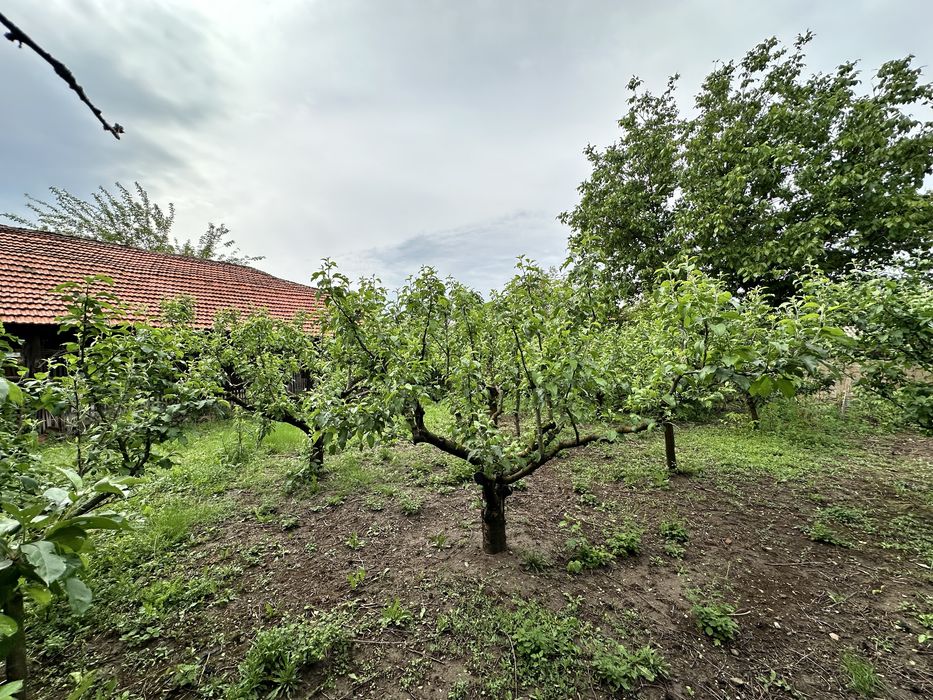 Продава се Къща в Пловдив, Каменица 1 - 160 кв.м за 318 €/кв.м - Снимка #8