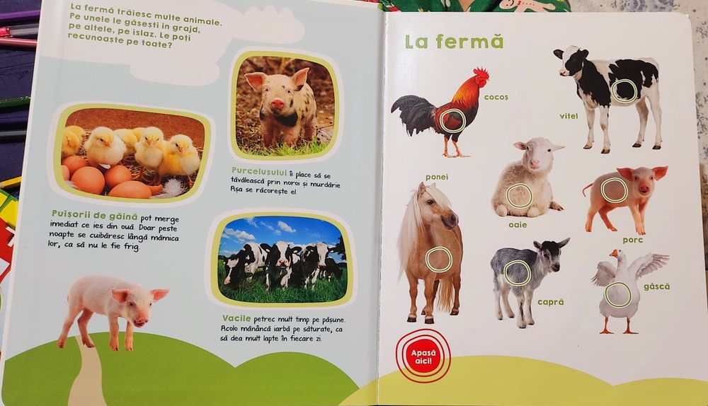 Lot cărți  educative cu sunete