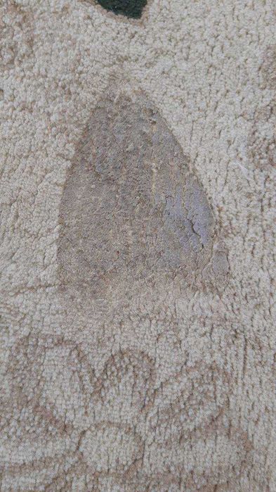 ELIF Gilam Yuvish Fabrikasi, Гилам Ювиш, Стирка Ковров