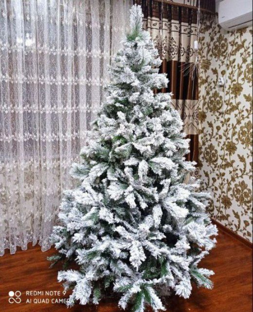 Ёлка северная премиум класса доставка бесплатная