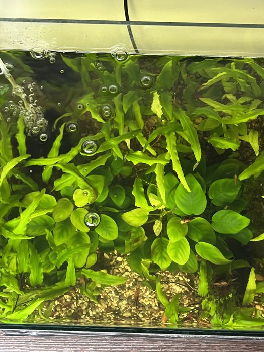 Аквариум 30 л.,40 л.