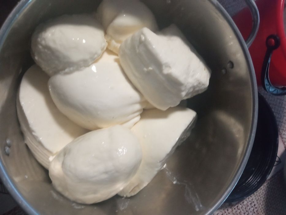 Vând brânză de vaca