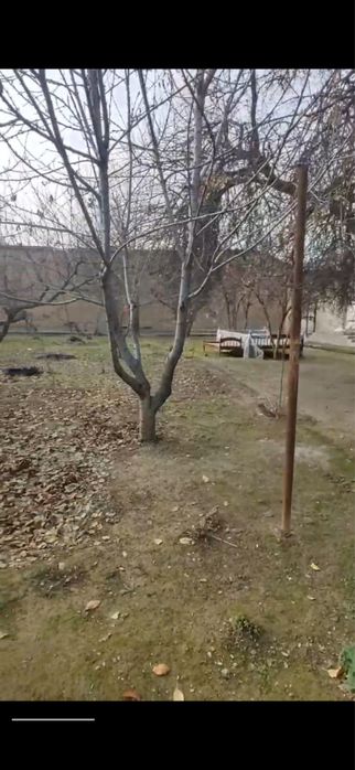 ПРОДАЕТСЯ Лимонария 9 соток йер Земля