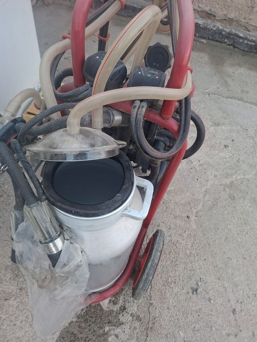 Доильный аппарат