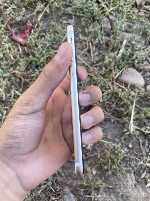 Iphone11 Iphone 11