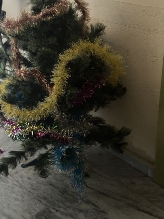 Елка котирилган чиройли