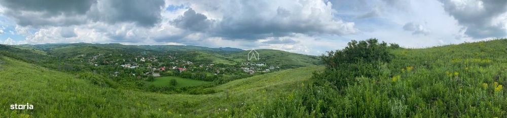 Domeniu 15.900 mp în Fințești | Casă + Investiție Dealu Mare