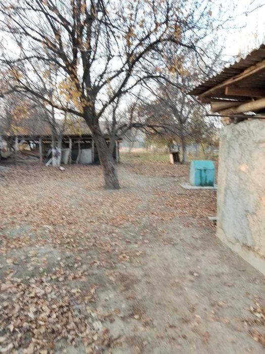 участок 25 соток