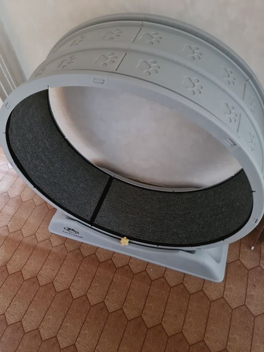 Беговое колесо для кошек