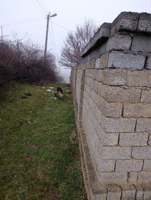 дача в Ташкентской области