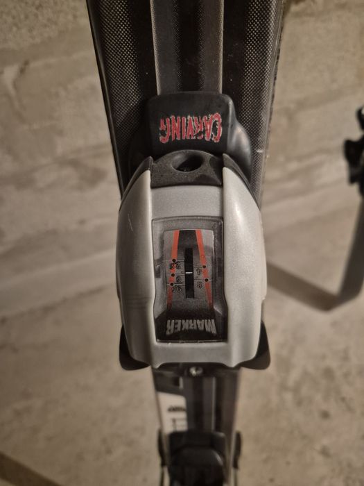 Горные лыжи Fischer