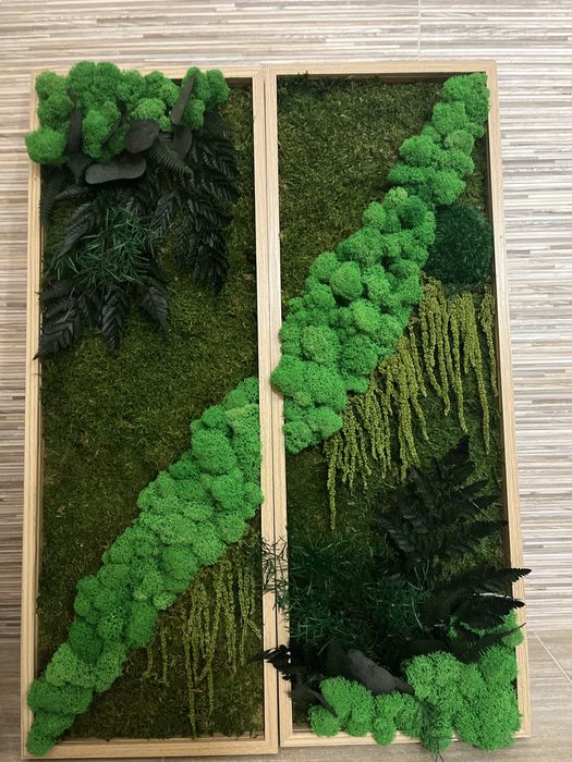 Tablou cu licheni si plante stabilizate