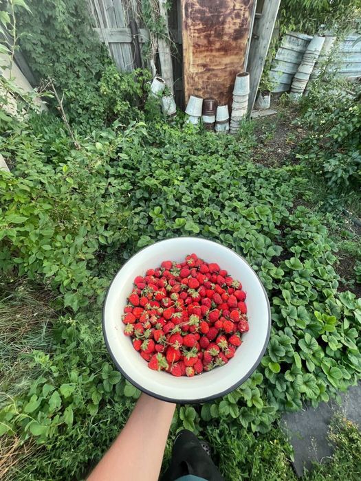 Продам Дом Бестобе напротив 101/Wildberries