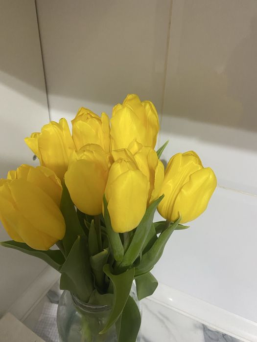 Тюльпан сатылады