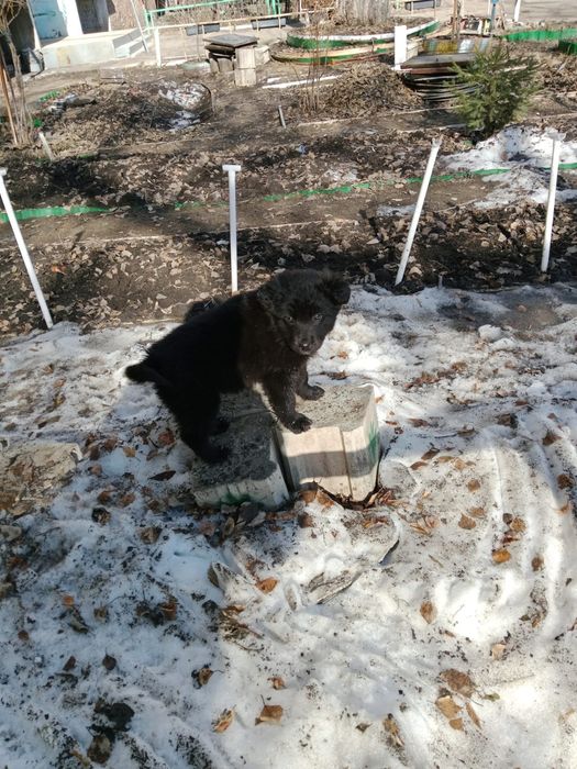 В самые добрые ручки