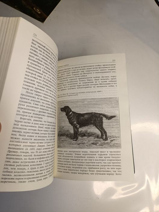 Охотничий собаки издания