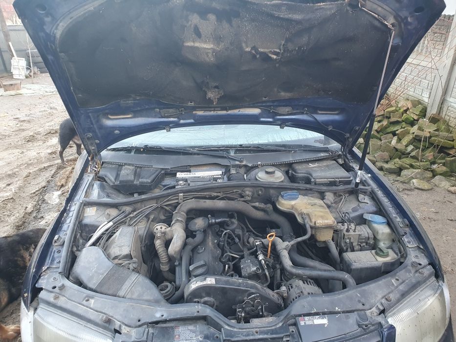 Volkswagen Passat b5.5