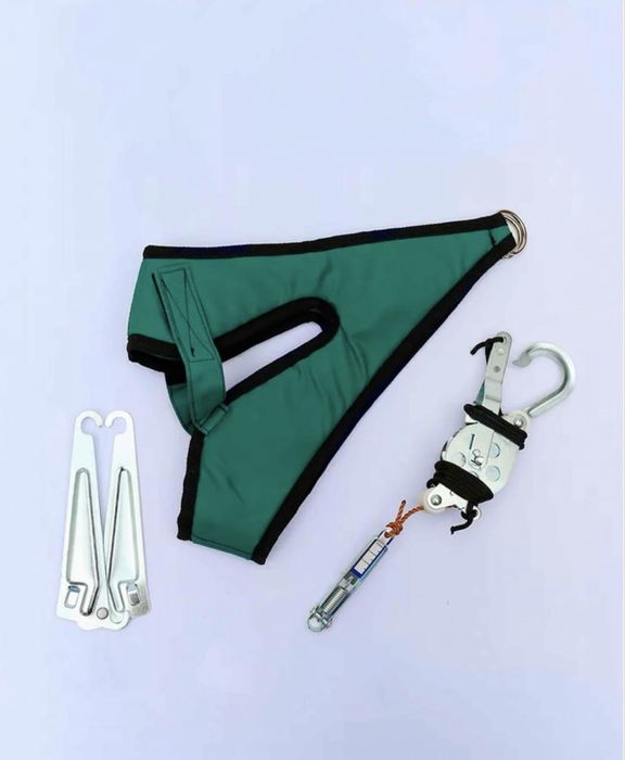 Boyin ilgagi (glisson)