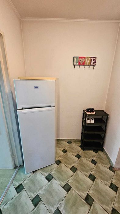 Proprietar inchiriez garsoniera - Constantin Brancusi