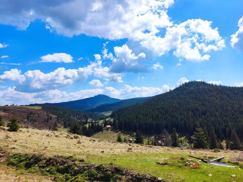 Teren extravilan Poiana Horea