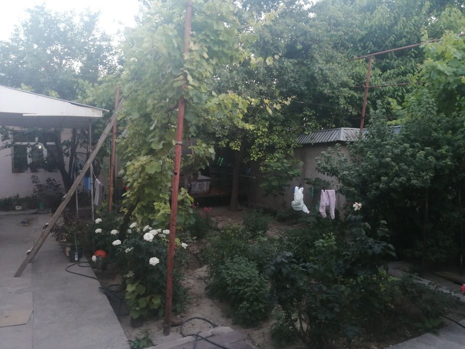 Продаётся дом в Чирчике