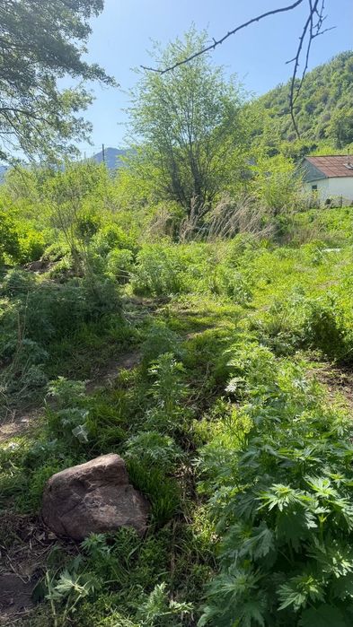 Продам земельный участок.