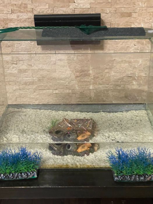 Аквариум 60 л,аквариум 5 л,филтър украса