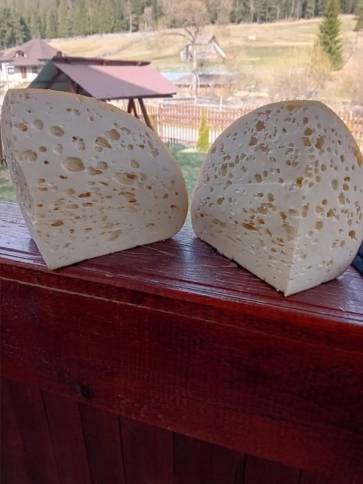 Brânză dospită de vacă