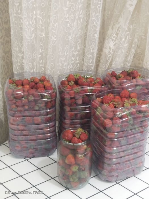 Продам дачу, сад Берёзка