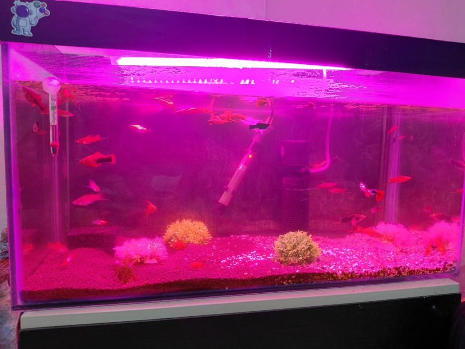 Аквариум 120 литр