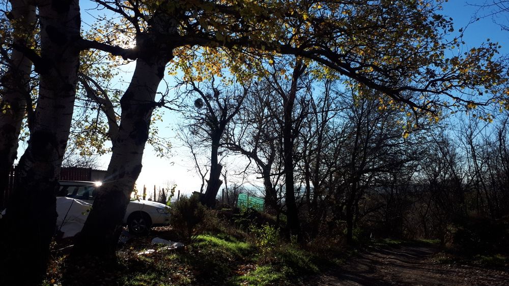 Продава се Парцел в Варна, Морска градина - 630 кв.м за 64 €/кв.м - Снимка #2