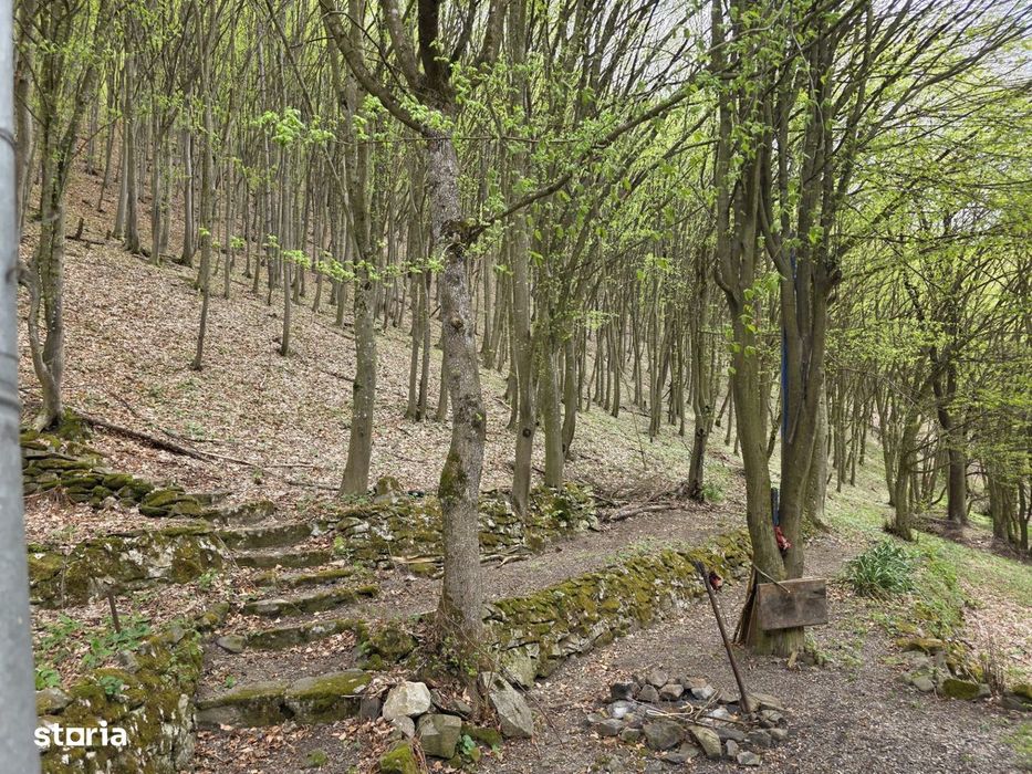 Cabana Iezer Ighiel – panorama superba, liniste si potential de inve