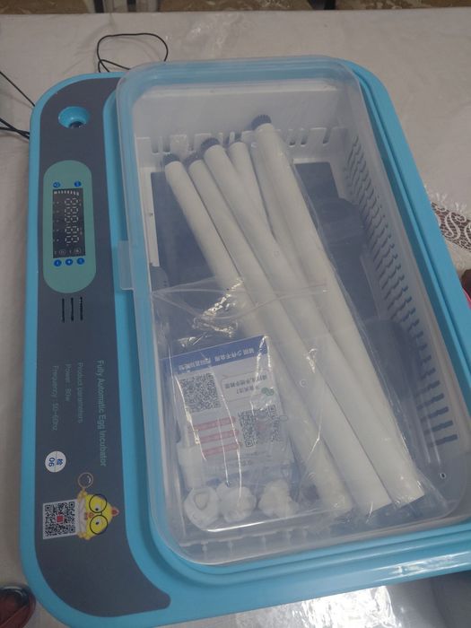 Inkubator keldi nalichida bor