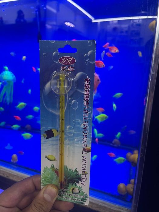 Akvarum va baliq magazin