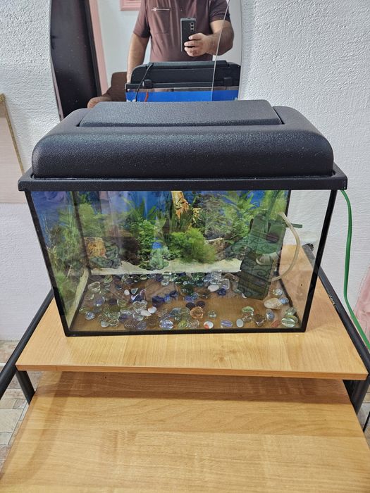 Аквариум новый в